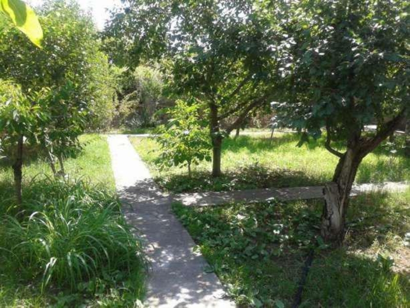 Продаётся своя приватизированная дача, для семейного отдыха - Изображение #6, Объявление #1663136