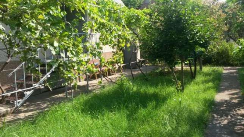 Продаётся своя приватизированная дача, для семейного отдыха - Изображение #7, Объявление #1663136