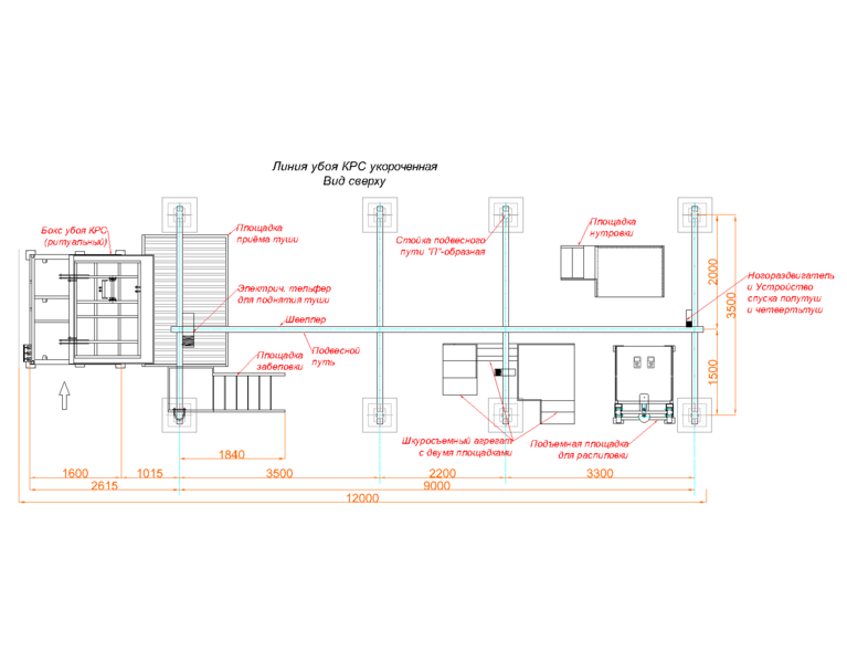 Линия убоя КРС (скотобойня, мясобойня, кушхона, чорвачилик) - Изображение #6, Объявление #1591587