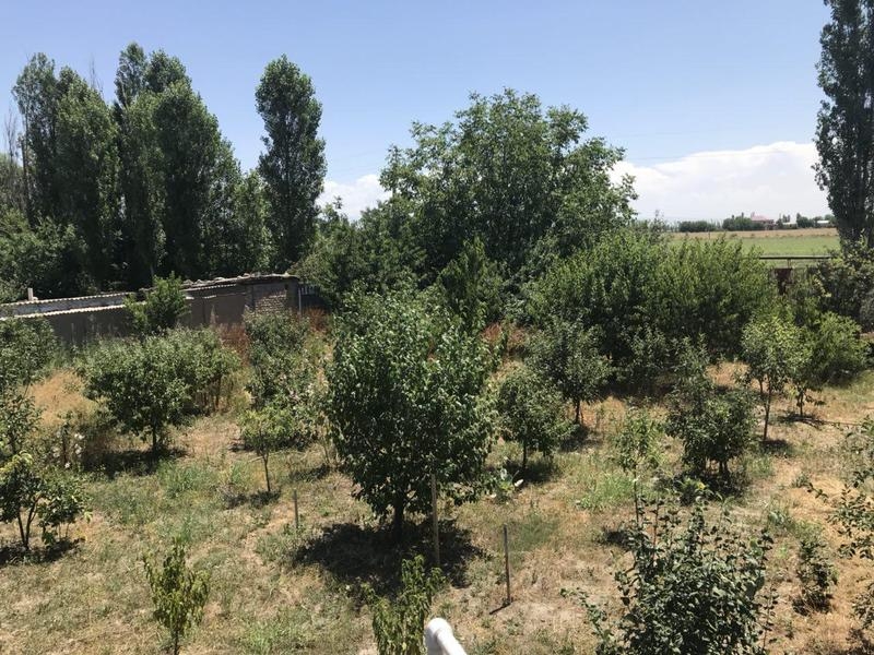 Участком 12 соток - Изображение #5, Объявление #1636572