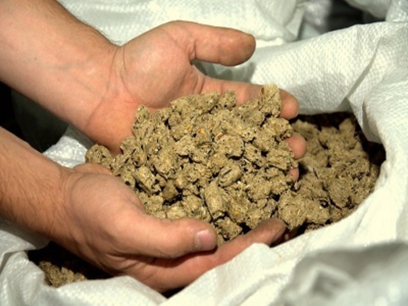 Экструдер - Изображение #3, Объявление #1672059