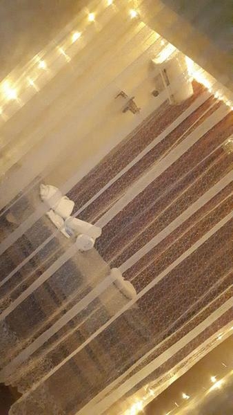 Разные виды Массажа. +998 97 7271730 - Изображение #3, Объявление #1673074