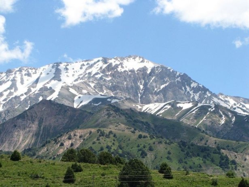 Продам срочно дачу или обменяю на квартиру!!! - Изображение #7, Объявление #1680667