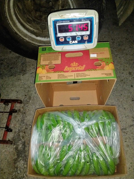 Бананы 22 кг оптом - Изображение #4, Объявление #1660646