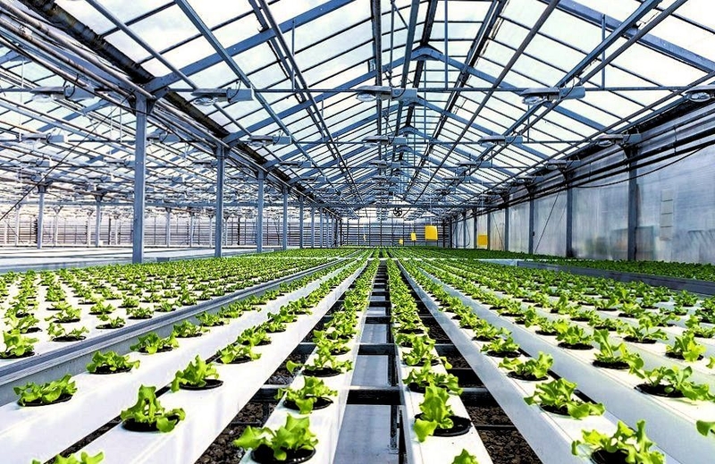 Zamonaviy Evropa issiqxonalari (современные европейские теплицы) - Изображение #5, Объявление #1679684