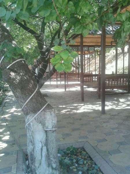 Аренда кафе - Изображение #6, Объявление #1690913