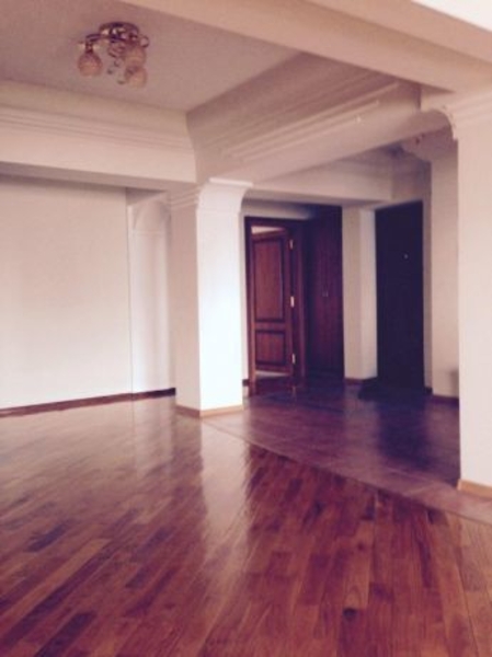 Космонавты метро рядом с МВД на против Корзинки 150 кв.м 477 - Изображение #8, Объявление #1694900