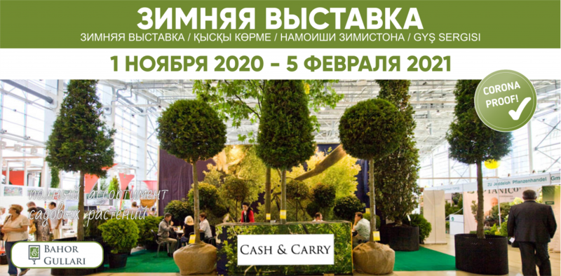 Растения и Ландшафтный дизайн от компании Bahor Gullari! - Изображение #3, Объявление #1697804