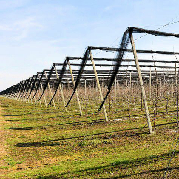  Bog'lar uchun yog'och konstruktsiyalar (деревянные конструкции для садов) - Изображение #3, Объявление #1700298