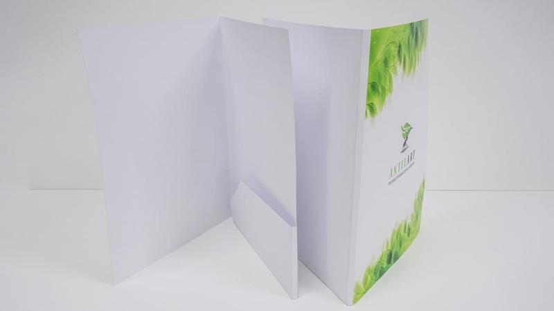 ПАПКИ для документов - Изображение #3, Объявление #1708920