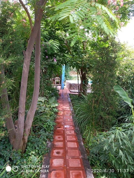 Вблизи  Ташкента  - кольцо Рохат 3   комфортабельная 2 эт Дача  суточно в аренду - Изображение #5, Объявление #1708852