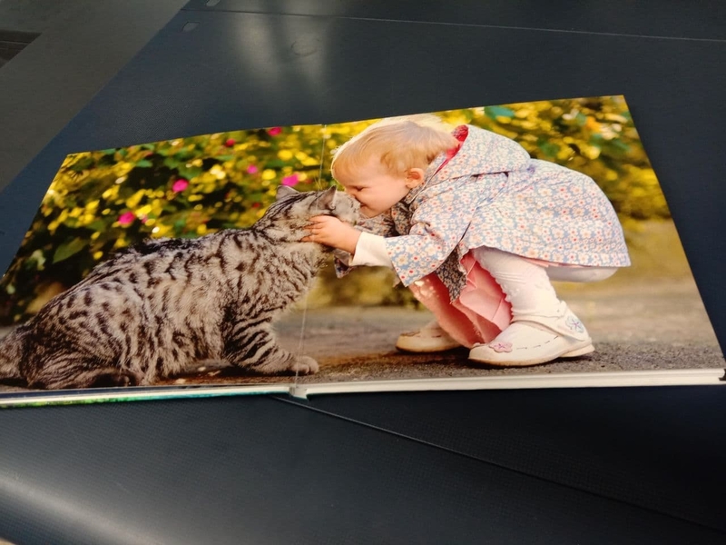 Цифровая печать - визитки, буклеты, блокноты, папки, брошюры и т.д. - Изображение #8, Объявление #1684640