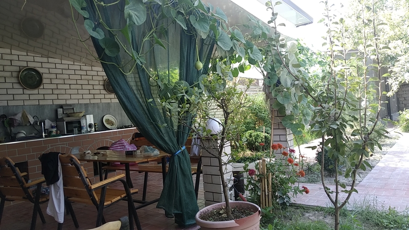 Продается Дача вблизи от Ташкента - Изображение #6, Объявление #1714106