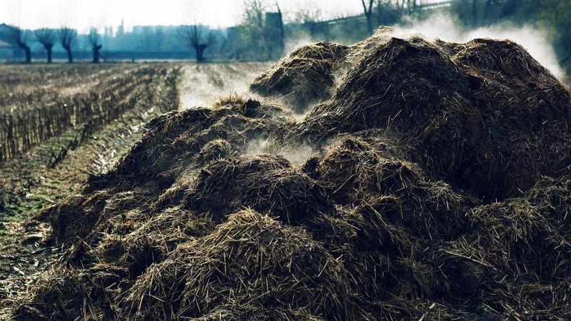 Принимаем НАВОЗ и другие отходы на переработку! - Изображение #5, Объявление #1716916