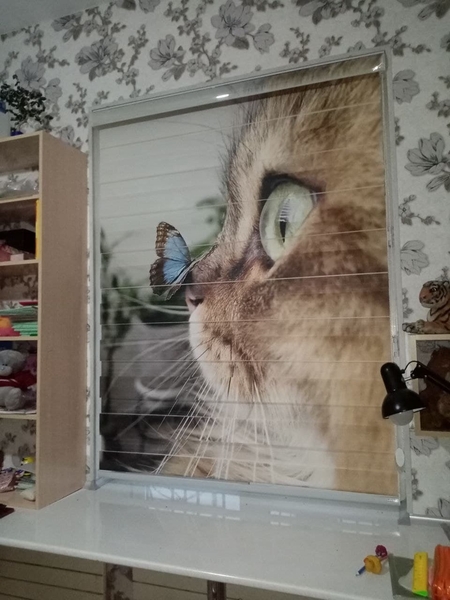 Жалюзи - Изображение #9, Объявление #1646542