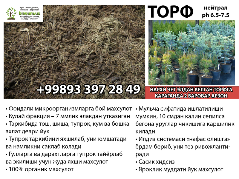 Торф нейтральный - для цветов, рассады, саженцев, грибов  - Изображение #3, Объявление #1716923