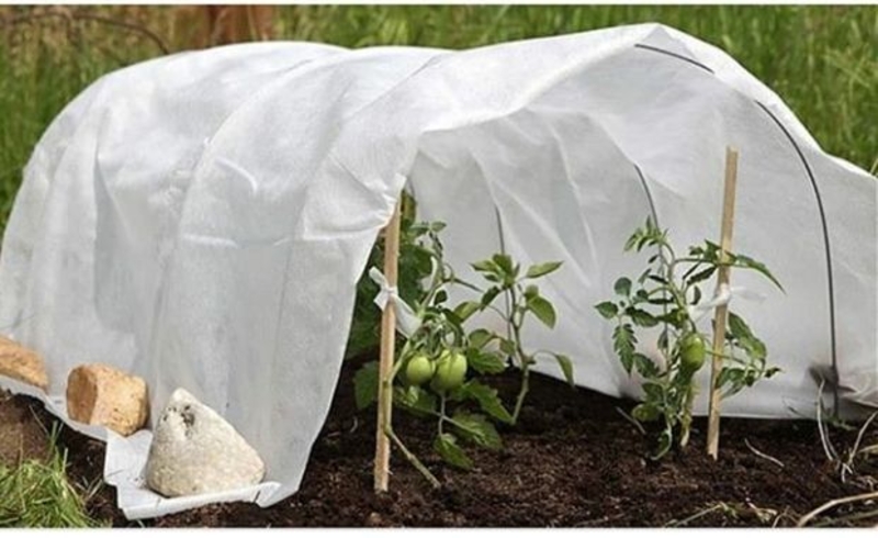 Agrovolokno/Агроволокно - Изображение #6, Объявление #1719690