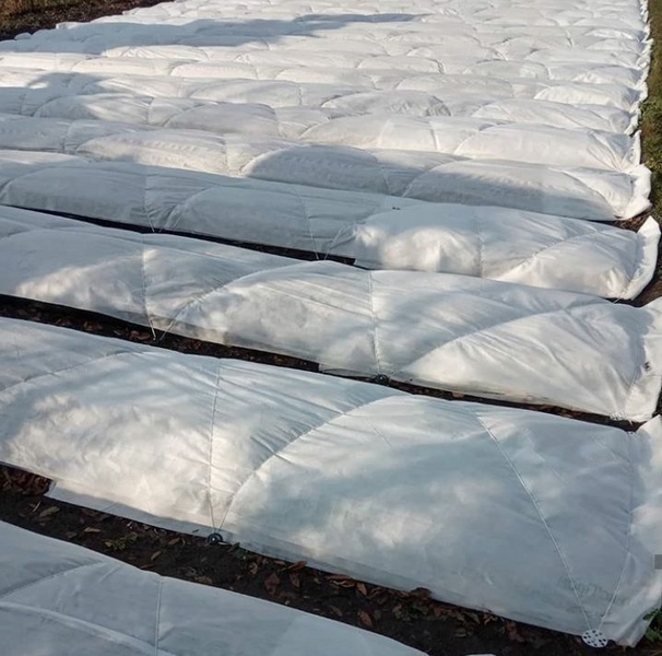 Agrovolokno/Агроволокно - Изображение #8, Объявление #1719690