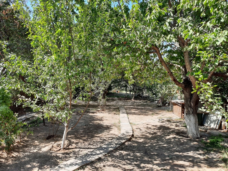 Дом в Ипотеку 12 соток Чирчик  - Изображение #8, Объявление #1720598