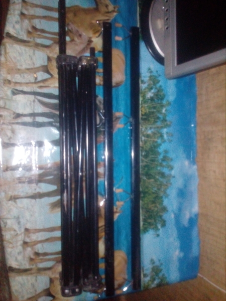 Продаю род под - Изображение #3, Объявление #1722324