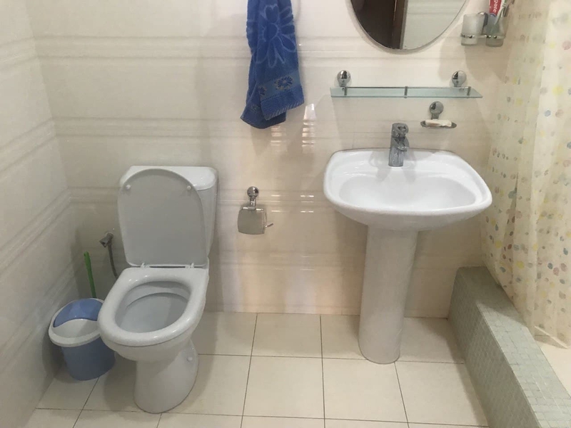 Срочно продаётся отличная дача с евроремонтом на БОЧКЕ. 8-соток - Изображение #7, Объявление #1722351