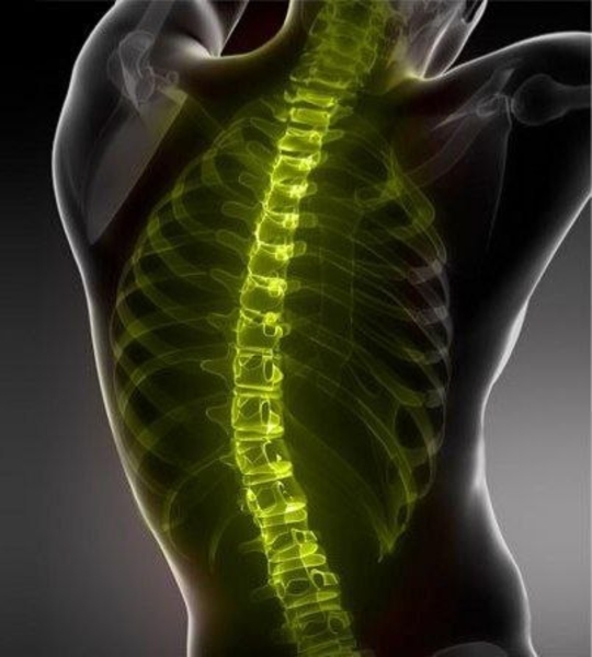 VALEO CENTER - Изображение #2, Объявление #1728988