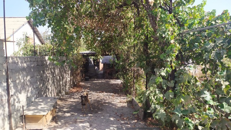 Дом участок Сергели - Изображение #3, Объявление #1728804