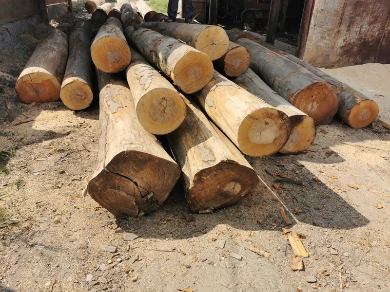 Круглый лес бука, дуба, ясеня, 1; 2 сорта. - Изображение #2, Объявление #1729435