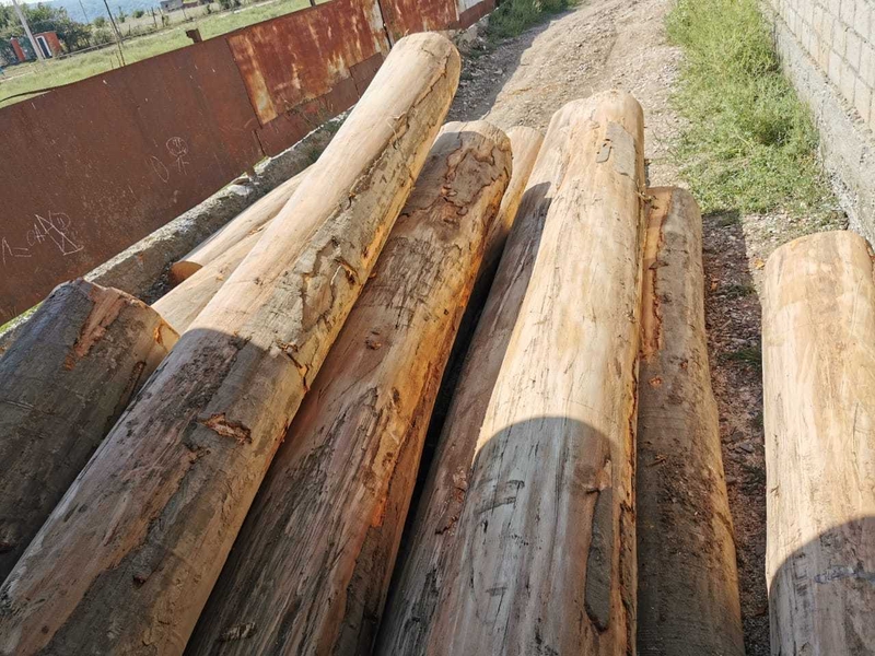 Круглый лес бука, дуба, ясеня, 1; 2 сорта. - Изображение #1, Объявление #1729435