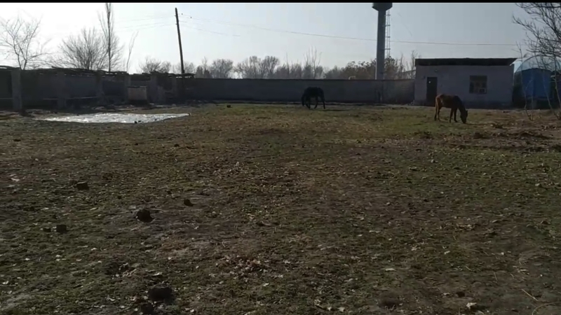 Сирдаре сувни буйида ер сотилади - Изображение #4, Объявление #1730201