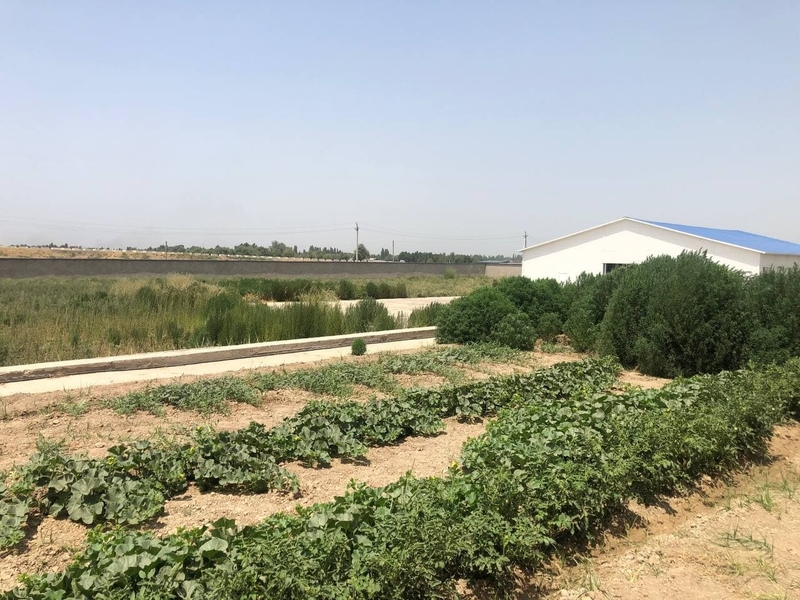 Завод Туй-Тепа Нурафшон  - Изображение #5, Объявление #1731048