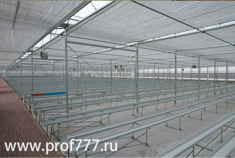 Станок изготовления лотков для клубники и земляники - Изображение #3, Объявление #1730438