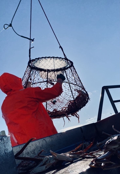 Работа в Норвегии - Изображение #4, Объявление #1731424