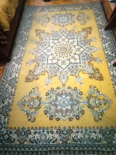 Паласы б/у - Изображение #1, Объявление #1736727