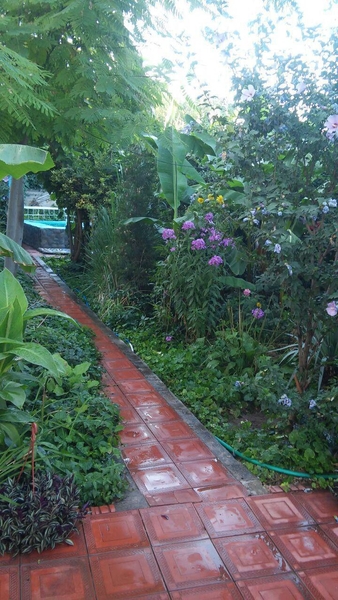 Дача - зелёная, прохладная, Гольф клуб, кольцо Рохат. - Изображение #3, Объявление #1737529