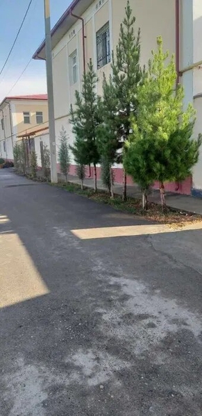 Сдается участок 4 сотки, 4 комнаты, семейной паре - Изображение #5, Объявление #1738130