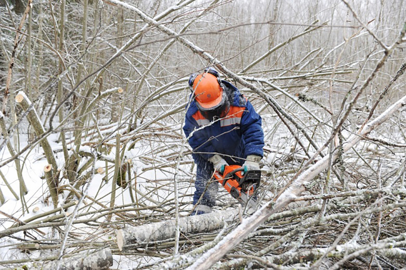 Работа и вакансии физическим работникам в Швеции - Изображение #3, Объявление #1738571