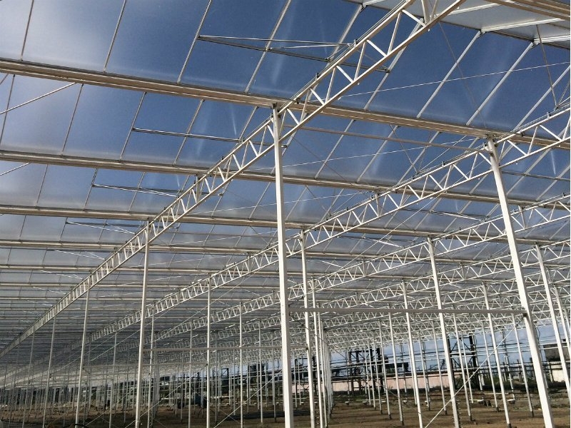 Zamonaviy Evropa issiqxonalari (современные европейские теплицы) - Изображение #6, Объявление #1679684