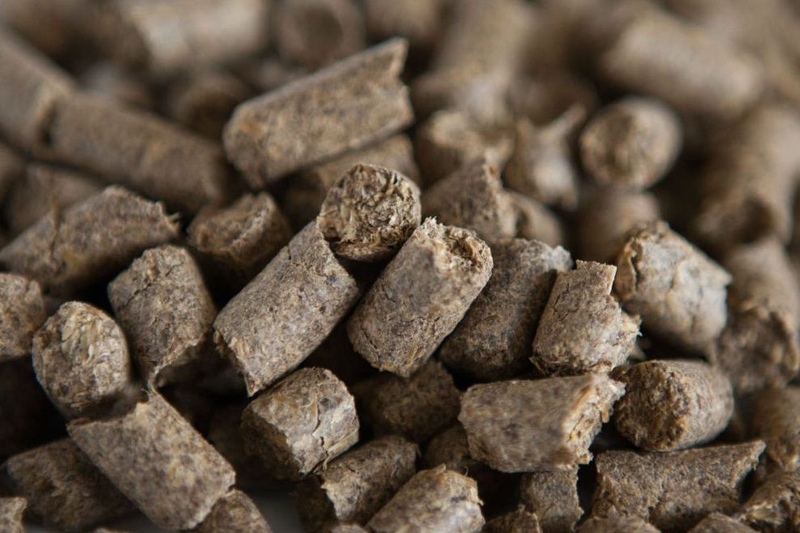 Кормовые и зерновые культуры - Изображение #5, Объявление #1739384