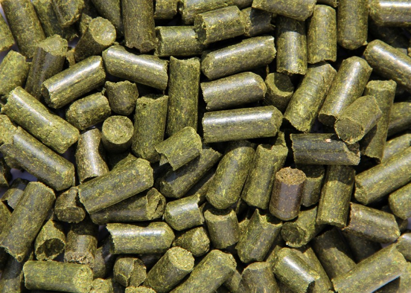 Кормовые и зерновые культуры - Изображение #3, Объявление #1739384