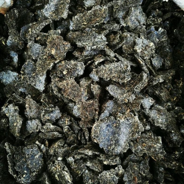 Кормовые и зерновые культуры - Изображение #7, Объявление #1739384