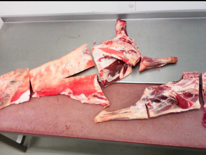 Баранина - Изображение #2, Объявление #1741273