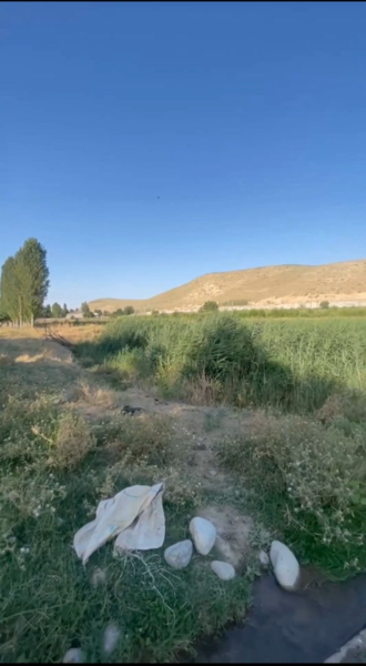 Земельные участки у воды от 2,5 соток в коттеджном поселке - Изображение #6, Объявление #1741156