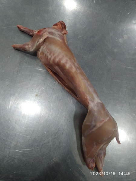 Оптовая продажа мясо кролика по Узбекистану - Изображение #3, Объявление #1740796