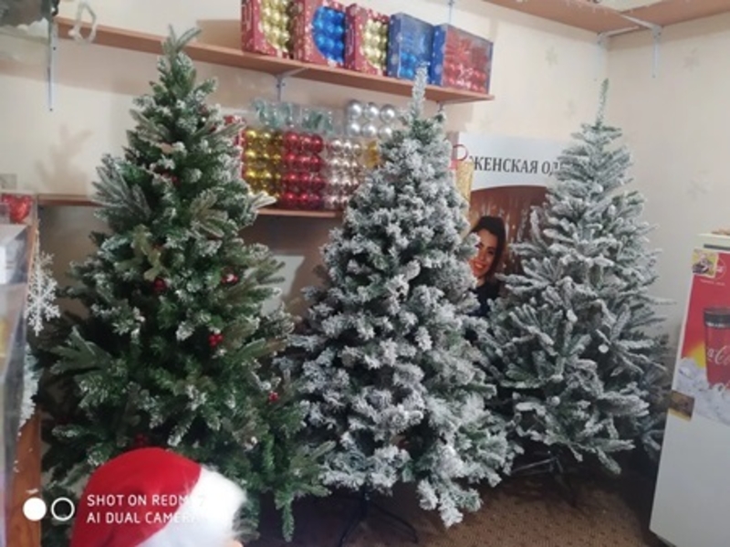 Ёлка как натуральное с ягодами и шишками со склада, доставка - Изображение #3, Объявление #1747415