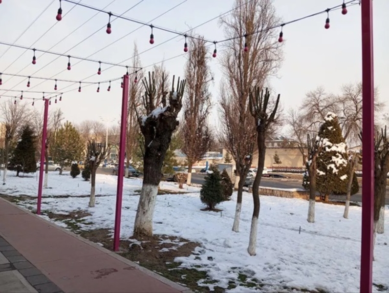 Ретро гирлянда, уличная освещение, продажа, установка - Изображение #4, Объявление #1747374