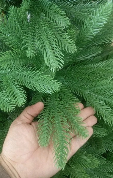 Ёлка гелевая полностью, низкая цена - Изображение #3, Объявление #1747412