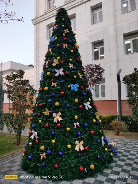 Новогодние оформление фасадов , большые Ёлки от 5 до 25 м - Изображение #6, Объявление #1747441