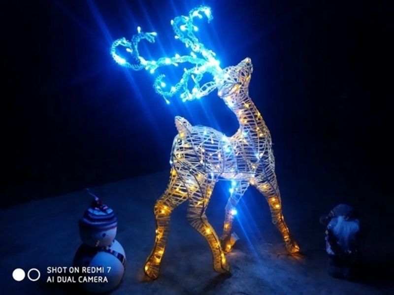 Олень 3Д , разное ... Доставка - Изображение #3, Объявление #1747425