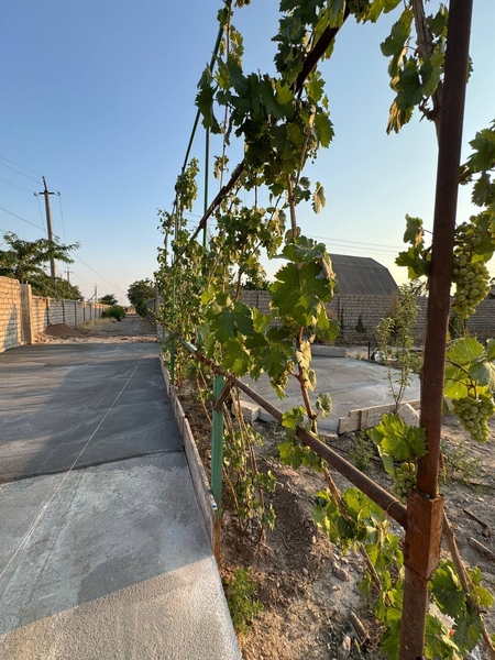 Продается дача в стороне Ташморя - Изображение #1, Объявление #1750360